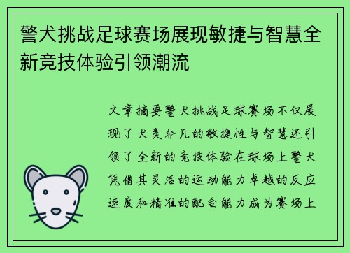 警犬挑战足球赛场展现敏捷与智慧全新竞技体验引领潮流